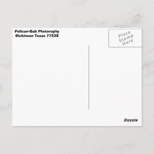 ペリカン ポストカード (裏面)