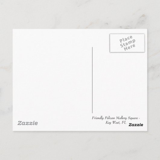 ペリカン ポストカード (裏面)