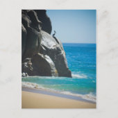 ペリカン ポストカード (正面)