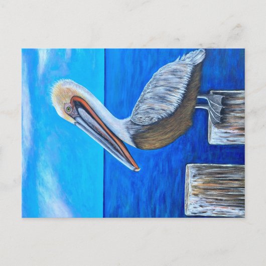 ペリカン ポストカード (正面)