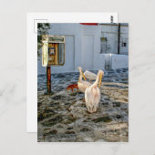 ペリカン ポストカード (正面/裏面)