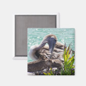 ペリカン マグネット (正面/裏面)