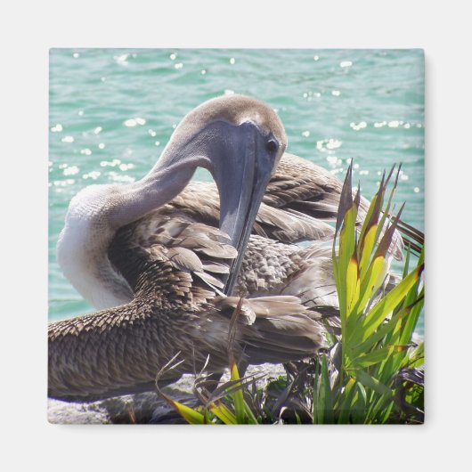 ペリカン マグネット (正面)