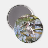 ペリカン マグネット (正面/裏面)