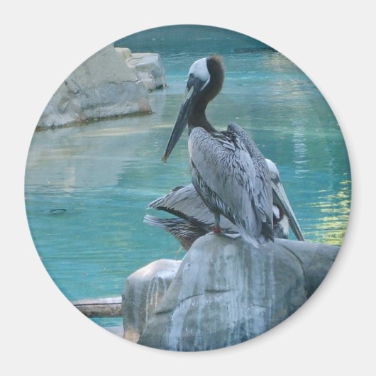 ペリカン マグネット (正面)