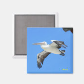 ペリカン マグネット (正面/裏面)