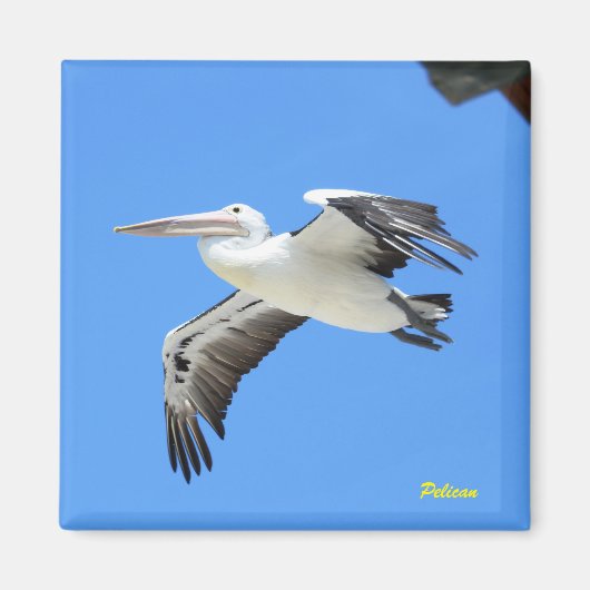 ペリカン マグネット (正面)