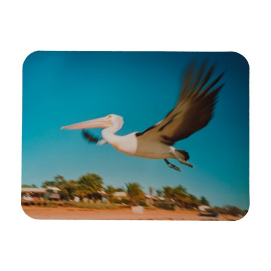 ペリカン マグネット (横)