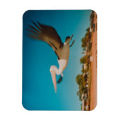 ペリカン マグネット (縦)