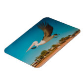 ペリカン マグネット (左側)