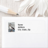 ペリカン ラベル (インサイチュ)