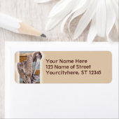 ペリカン ラベル (インサイチュ)