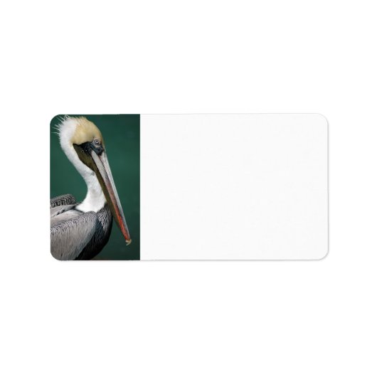 ペリカン ラベル (正面)