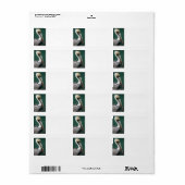 ペリカン ラベル (フルシート)