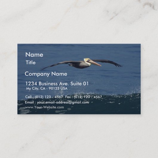 ペリカン 名刺 (正面)