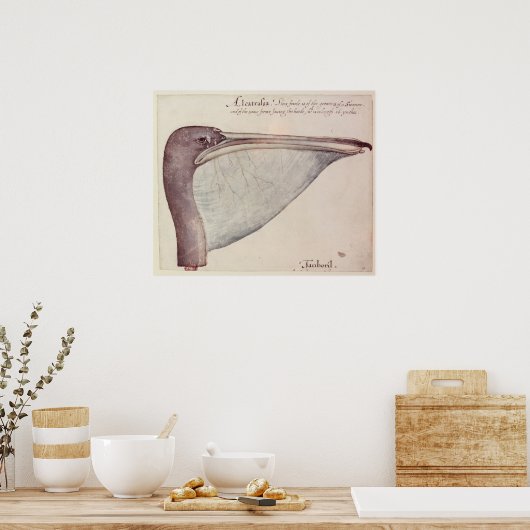 ペリカン、c.1590 ポスター (キッチン)