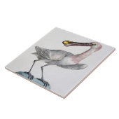 ペリカン、c.1767-76 (手によって着色される版木、銅版、版画) タイル (側面)