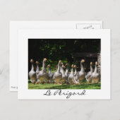 『ペリゴールドの文字』 ポストカード (正面/裏面)