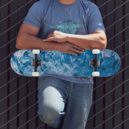 ペリトモレノ氷河 スケートボード