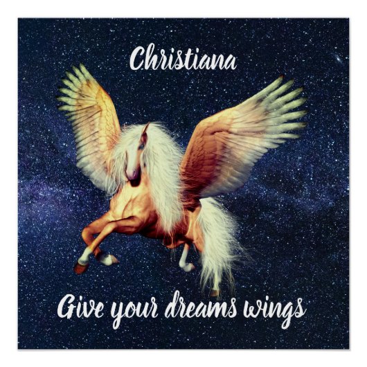 ペリミノ翼ペガサス ポスター (正面)