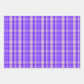 ペリメリープライドはっきりしたホリデイ ラッピングペーパーシート (正面)