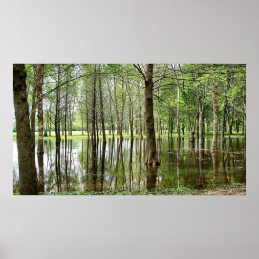 ペリン公園 ポスター (正面)