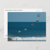 ペリ飛んでいるカンの形成，コスタリカ ポストカード (正面/裏面)