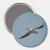 ペリ飛んでいるカン磁石4 マグネット (正面/裏面)