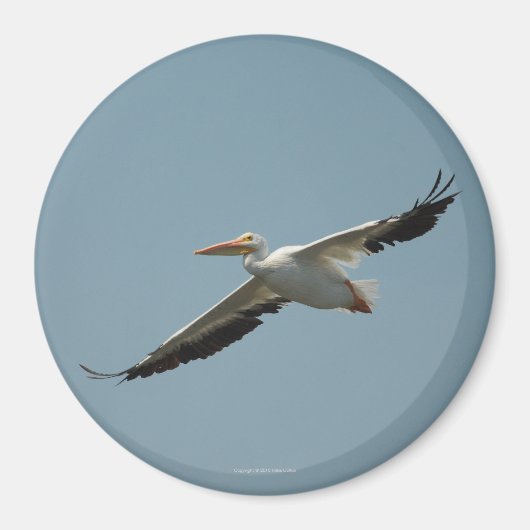 ペリ飛んでいるカン磁石4 マグネット (正面)