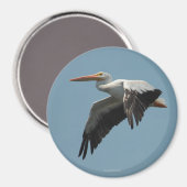 ペリ飛んでいるカン磁石5 マグネット (正面/裏面)