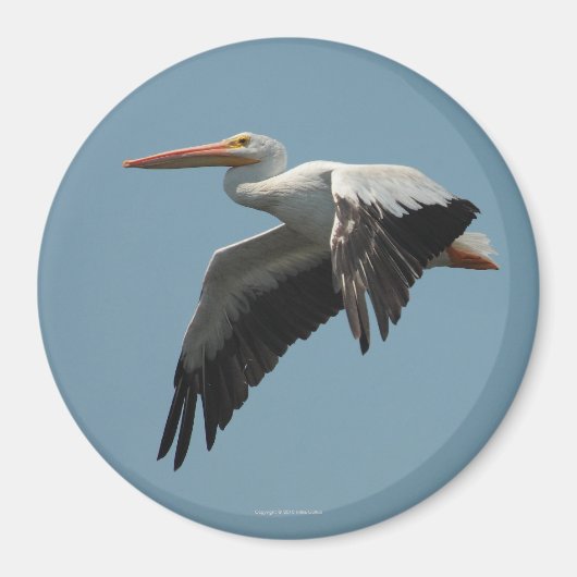 ペリ飛んでいるカン磁石5 マグネット (正面)