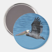 ペリ飛んでいるカン磁石8 マグネット (正面/裏面)