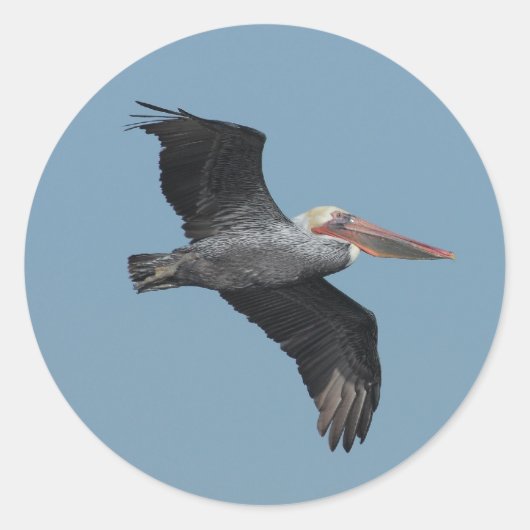 ペリ飛んでいるカン14シール ラウンドシール (正面)