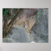 ペルカトメエルカート ポスター (正面)