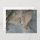 ペルカトメエルカート ポストカード (正面/裏面)