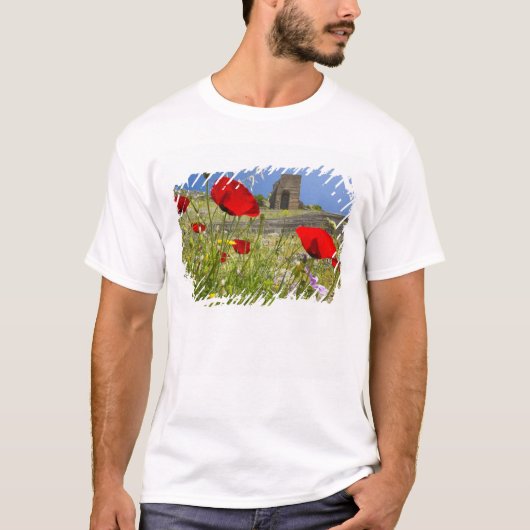 ペルガモンのアクロポリスにある古代の劇場 Tシャツ (正面)