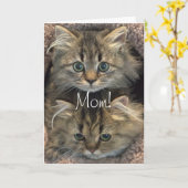 ペルシアの子猫の母の日のカード カード (黄色い花)
