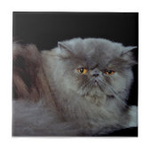 ペルシアブルー タイル (正面)