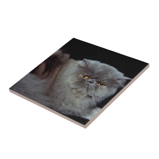 ペルシアブルー タイル (側面)