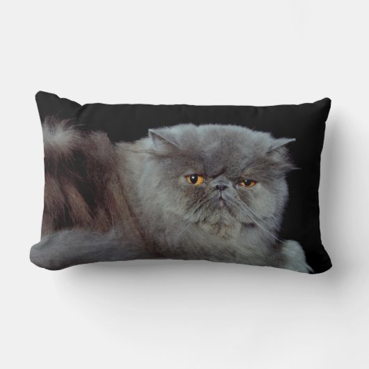 ペルシアブルー ランバークッション (正面)