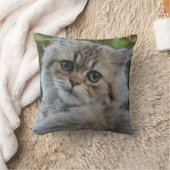 ペルシャかわいらし子猫 クッション (ブランケット)