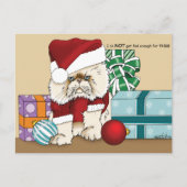 ペルシャのクリスマス猫 シーズンポストカード (正面)