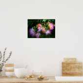 ペルシャのシルクツリー(ミモサ)のフル開花 ポスター (キッチン)