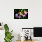 ペルシャのシルクツリー(ミモサ)のフル開花 ポスター (ホームオフィス)