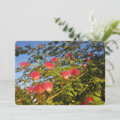 ペルシャのシルク シーズンカード (スタンド正面)