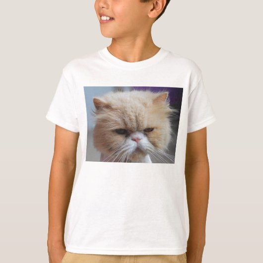 ペルシャのパーフェクトのシャツ Tシャツ (正面)