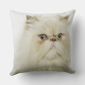 ペルシャのポートレート クッション (裏面)