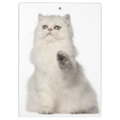 ペルシャのモデル クリップボード (裏面)