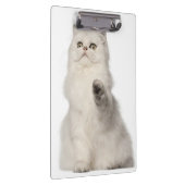 ペルシャのモデル クリップボード (右)