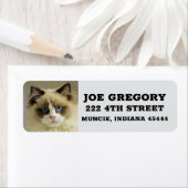 ペルシャのラグドール猫の差出人住所ラベル ラベル (インサイチュ)